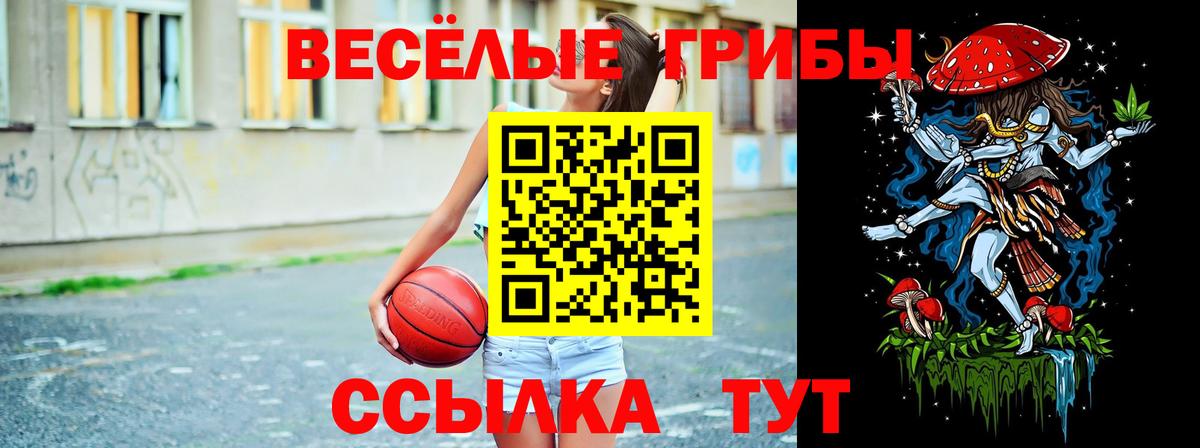 Спасск-Дальний  Псилоцибиновые грибы ЛСД  Вход с VPN  купить закладку  Галлюциногенные грибы прущие грибы 